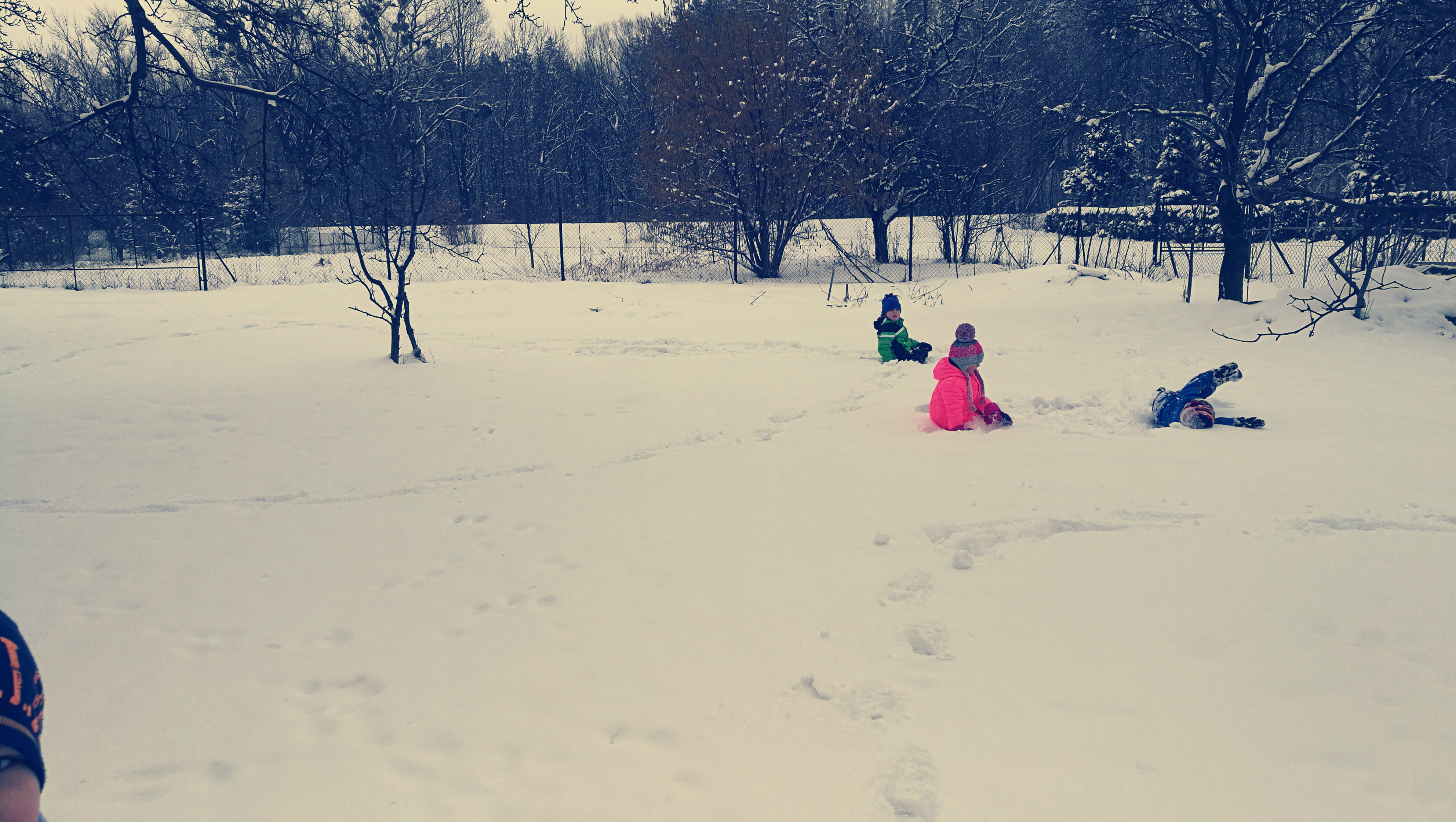 Fotky školička únor 2018